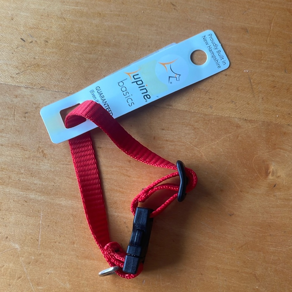 Lupine Pet 1/2in 6”-9”